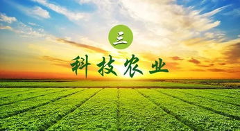 現(xiàn)代農(nóng)業(yè)的經(jīng)營(yíng)模式及案例分析